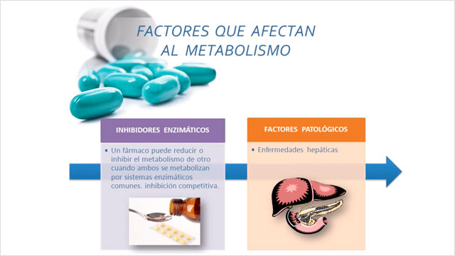 Factores Que Modifican El Metabolismo De Los Fármacos